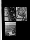 Orchid Feature in Wilson (3 Negatives) 1950s, undated [Sleeve 6, Folder j, Box 21]